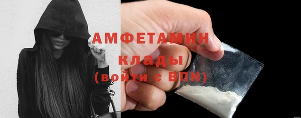 прущие грибы Белокуриха