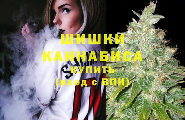 прущие грибы Белокуриха