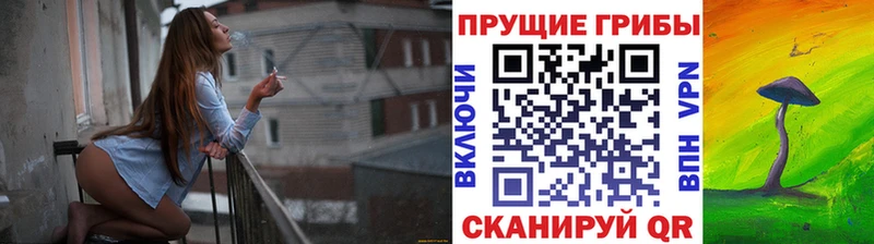 Купить закладки  Анадырь  Псилоцибиновые грибы MAGIC MUSHROOMS 